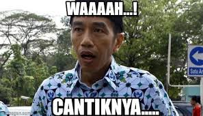 Hasil gambar untuk meme jokowi