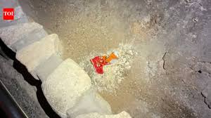 In 2023, a visitor dropped a Cheetos bag in Carlsbad Caverns’ Big Room in New Mexico; it triggered fungal — The Times of India