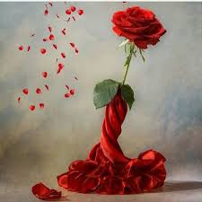 Image result for ‫من را به تابوت بی‌ تفاوتی‌ها نکشان‬‎