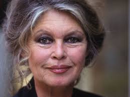 images?q=tbn:ANd9GcQCP0GWmAt_hF804Mc3kV7