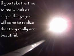 Image result for different beauty perspectives