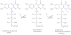 Flavoproteine - Ergebnisse - Enzyclo