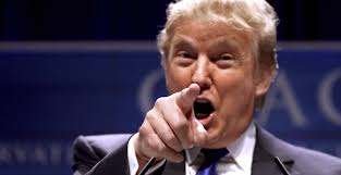 Image result for trump deport illegals pics