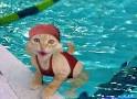 Chute daposun chien dans ma piscine: le proprio ne veut rien savoir