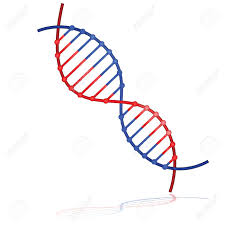 Résultat de recherche d'images pour "white dna"