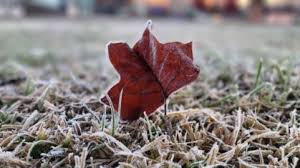 Sul do Brasil amanhece com geada e temperaturas abaixo de 0°C; veja