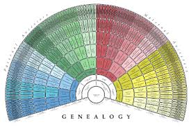 Image result for Pictures of creating a Genealogy