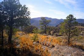 Image result for texas mountains