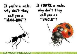 Insect Humor | Insect Quotes | Pinterest | Insects and Funny via Relatably.com