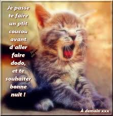 R�sultat de recherche d'images pour "images bonne nuit les copines"