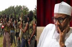 Image result for niger delta avengers
