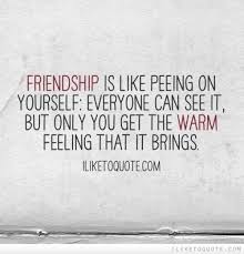 Friendship is like peeing on yourself: Everyone can see it, but ... via Relatably.com