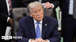 Trump at the Supreme Court