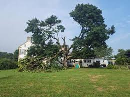 National Weather Service says no tornado July 18, severe thunderstorms and straight-line winds