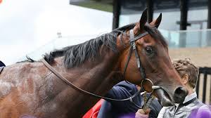 racing post