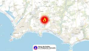 Feu De Foret