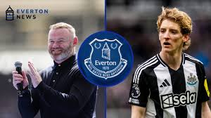 Everton News - News update