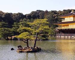 Paviliun Emas Kinkakuji, Japan