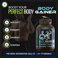 Body Gainer