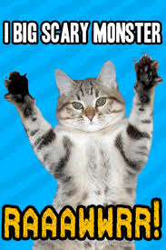 Meow!!!! - Cats Photo (25208611) - Fanpop fanclubs - Meow-cats-25208611-640-960