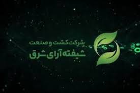 شیفته چقدر ارزش گذاری شد؟