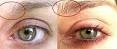 Best eyebrow serum