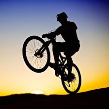 Risultati immagini per mountain bike