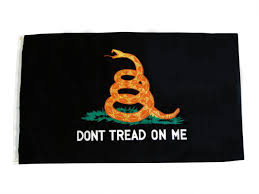 Image result for gadsden flag