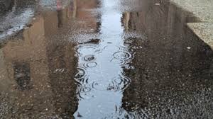 Trend Google: allerta meteo