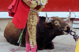 Resultado de imagen de tauromaquia tortura