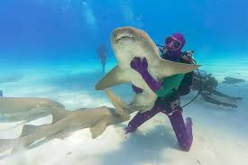 ‘KPop Demon Hunters’ star, Ken Jeong joins celebrity hosts for the return of Shark Week