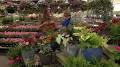 Profile Picture of Lyndsey from Merrifield Garden Center joined FOX 5 DC to give tips ...on Google