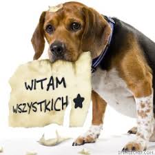 Obrazek dodany przez użytkowniczkę