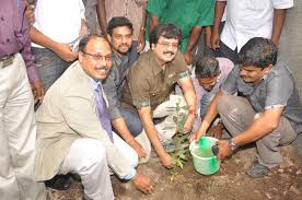 Image result for Tree plantation