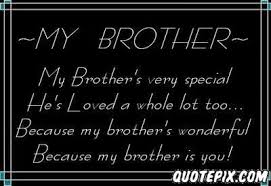 inspirational sayings for brother | I Love My Brother Quotes for ... via Relatably.com