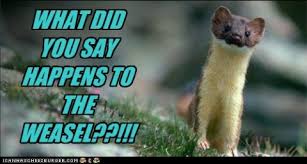 Funny Weasel Quotes. QuotesGram via Relatably.com