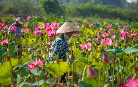 Báo Quân đội nhân dân - News update