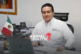Animal Politico - News update