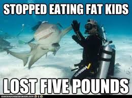 Image result for Animal Meme