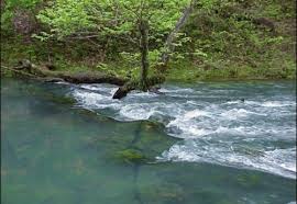 Bildergebnis für pulltite spring