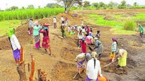 VB G RAM G Scheme: ஊரக வேலைவாய்ப்பு திட்டம் ஜூலை 1 முதல் அமல்... தமிழ்நாட்டுக்கு ₹7,957.57 இடைக்கால ஒதுக்கீ...