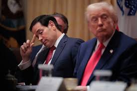Bloomberg: Rubio to be put in charge of administering Venezuela
