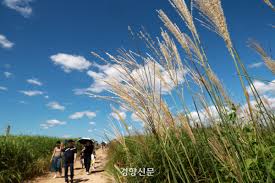 추분