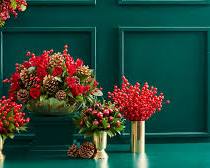 Imagem De Natal Floral Arrangements