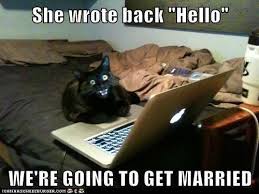 Image result for Animal Meme