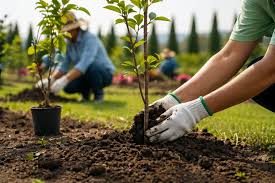 Organizan actividades por el Día de la Tierra