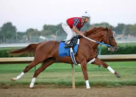 external image images?q=tbn:ANd9GcQEjK3jZEnzNFWX4C7qDiCP9YbMqK1Fktsq7J73l-BSnHPrL72xyg