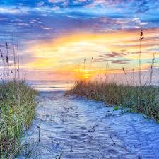 Image result for Deborah Lynn Ferrier