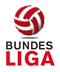 Image result for bundesliga logo 2015