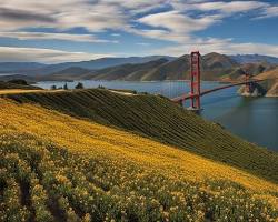 Image of California's diverse landscapes